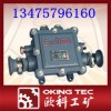 最新热销产品隔爆型低压电缆接线盒