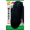 冬瓜种子广东创大吊瓜王F-1510
