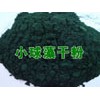 小球藻|抵抗核辐射污染的“全能选手”